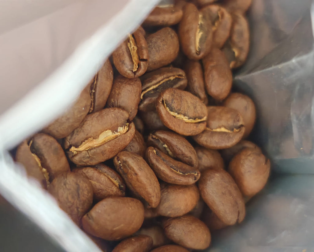 Granos de café Geisha Edición Especial de GrupoBerith, ganador de la Golden Cup Centroamérica 2025, con tonos dorados y aromas delicados.