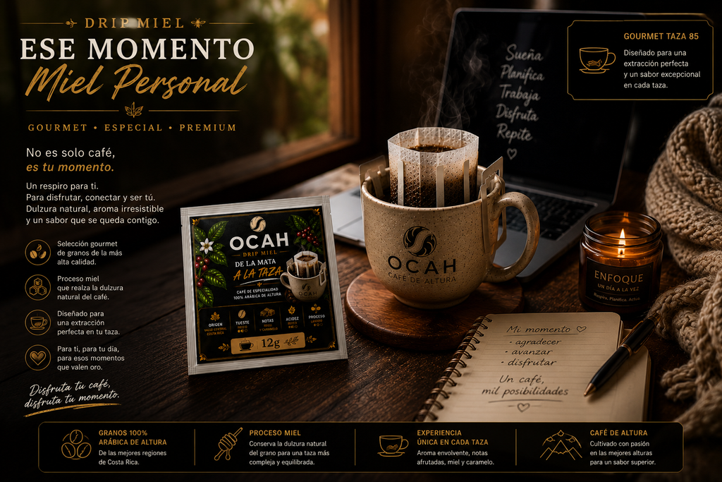 Café de goteo OCAH Miel de GrupoBerith en taza, filtros individuales con proceso Honey, aroma y sabor suave y dulce