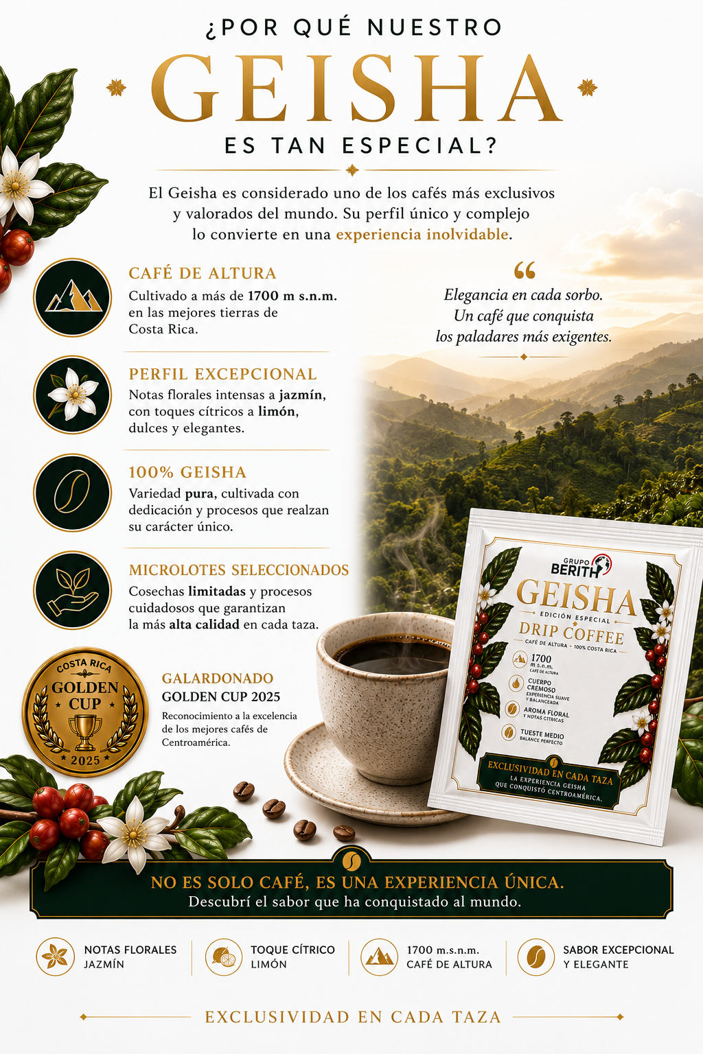 Paquete de 12 cafés de goteo Geisha de la marca GrupoBerith, ideal para oficina y consumo corporativo.